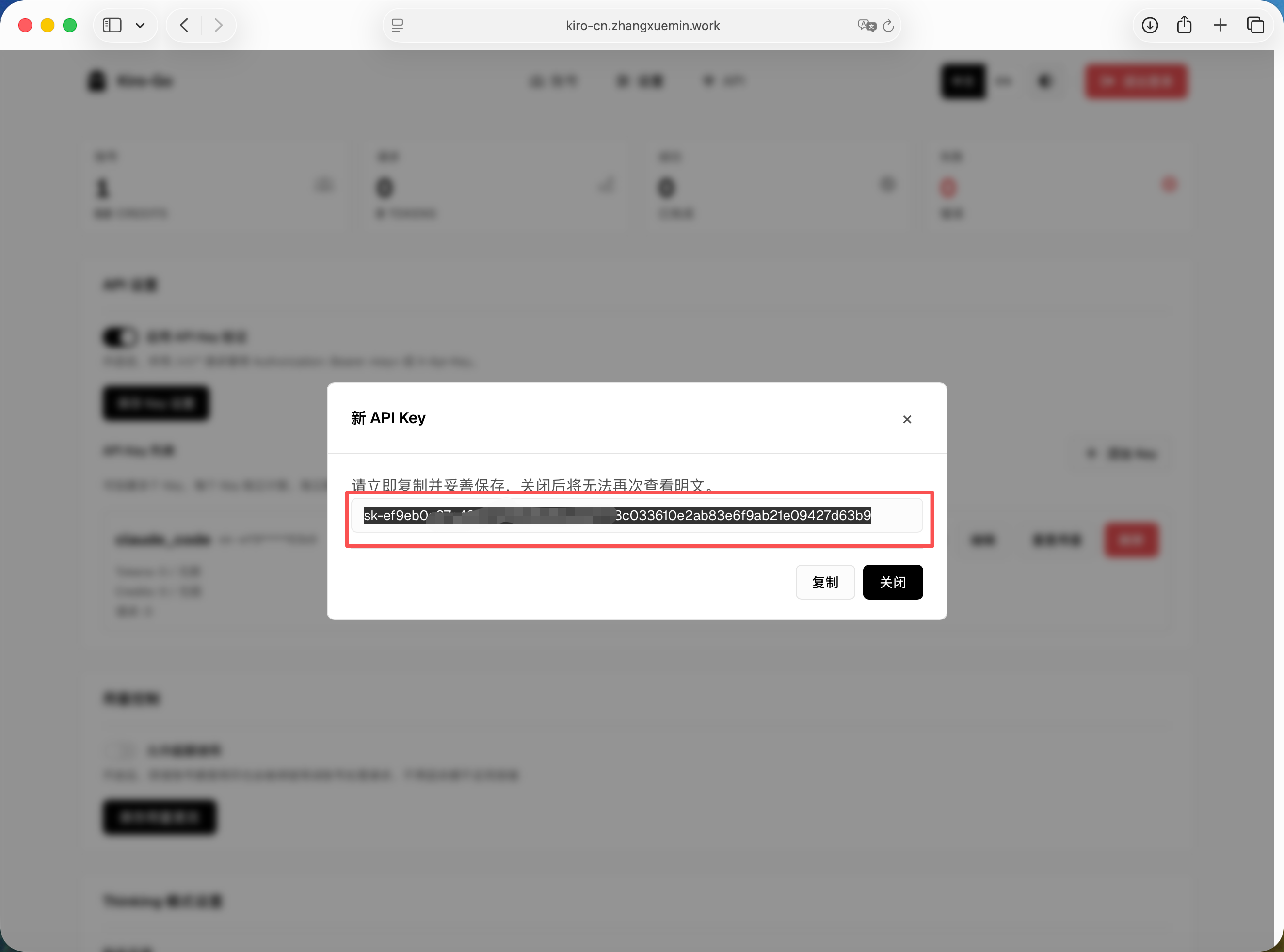 保存生成的 API Key